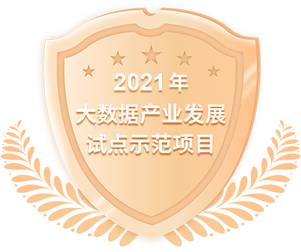 2021年大数据产业发展试点示范项目